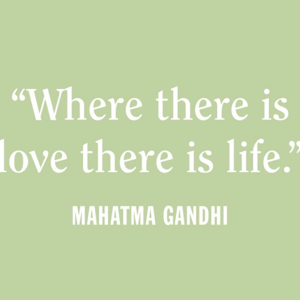 Love is all you&nbsp;need