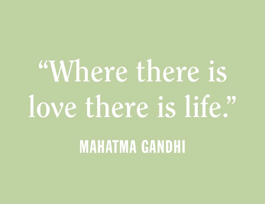 Love is all you&nbsp;need